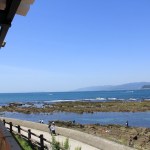 IMG_0451