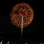 IMG_8841花火
