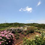 IMG_0834 (2)